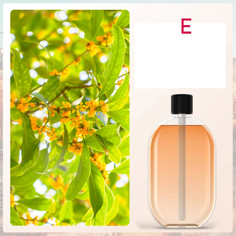 Diffuseur d'Huiles Essentielles USB – Lumière & Brume Automatique