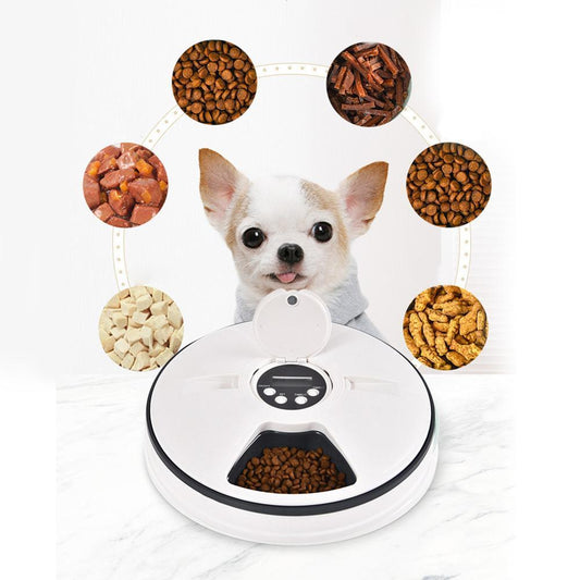 Distributeur automatique pour chiens et chats Healthy Pet