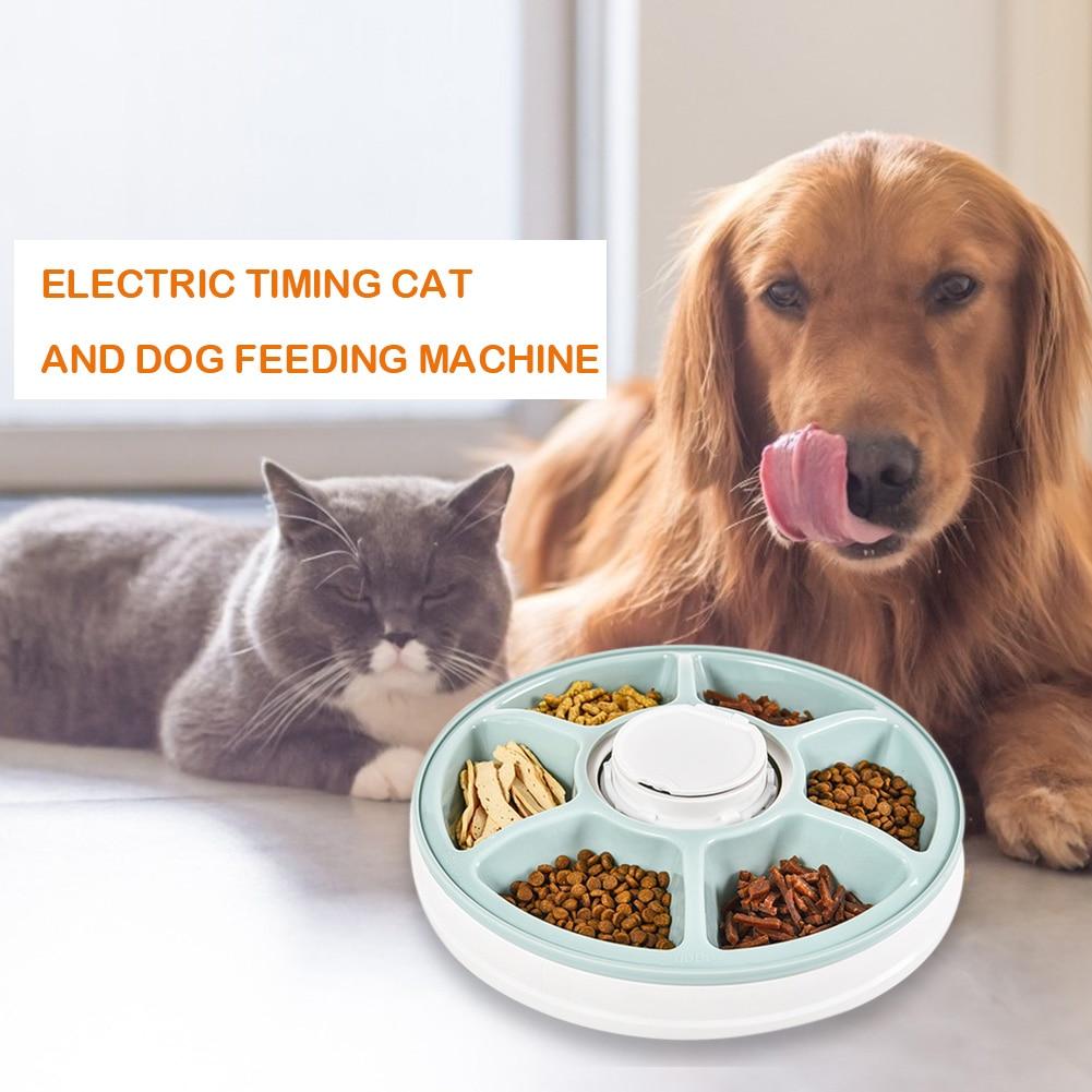 Pets