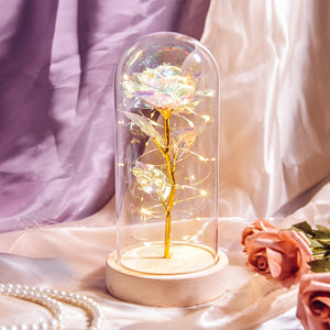 Valentine Gift Beauty and The Beast Preserved Roses In Glass Galaxy Rose Flower LED Light Artificial Flower Gift for Women Girls