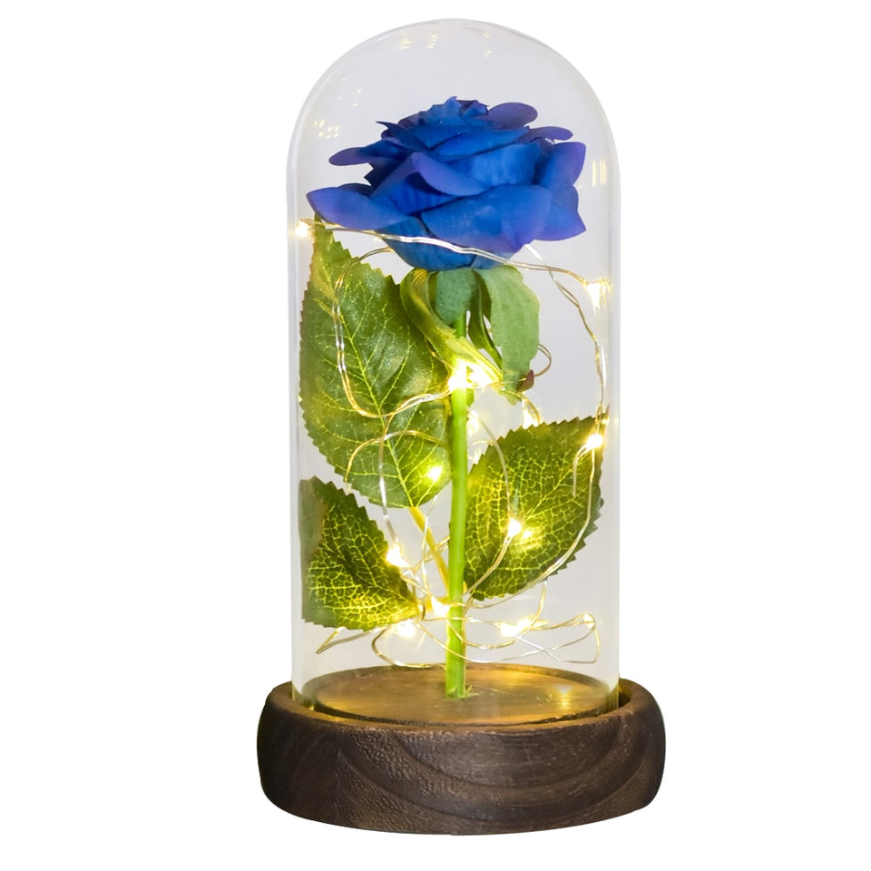 Valentine Gift Beauty and The Beast Preserved Roses In Glass Galaxy Rose Flower LED Light Artificial Flower Gift for Women Girls