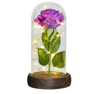 Valentine Gift Beauty and The Beast Preserved Roses In Glass Galaxy Rose Flower LED Light Artificial Flower Gift for Women Girls