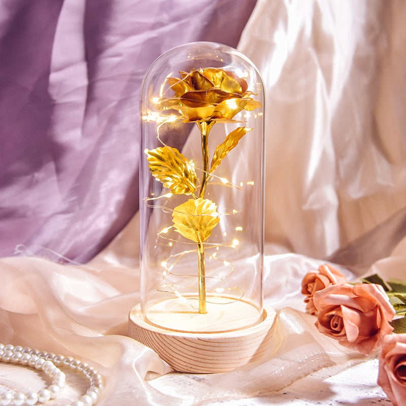 Valentine Gift Beauty and The Beast Preserved Roses In Glass Galaxy Rose Flower LED Light Artificial Flower Gift for Women Girls