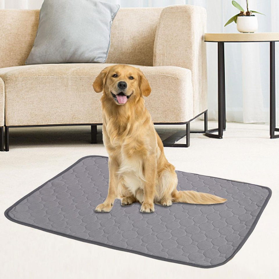 Reusable Dog Pee Mat - Etrendpro