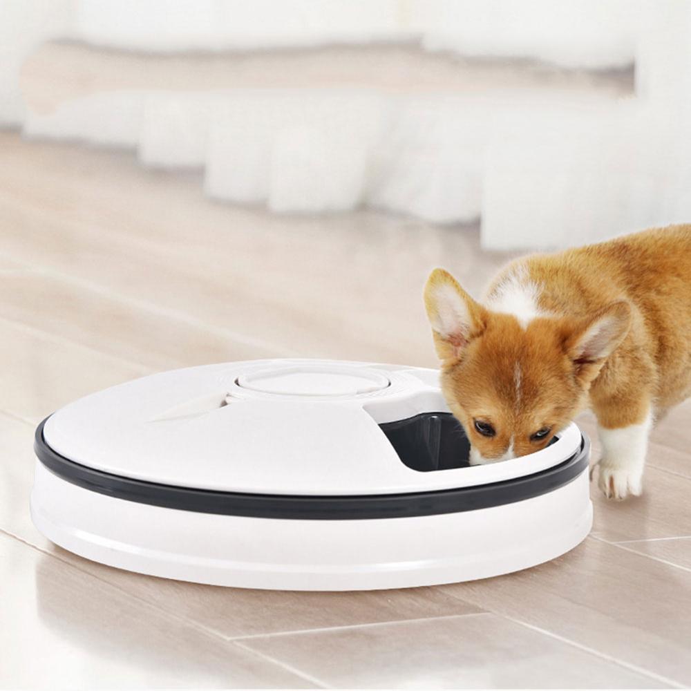 Distributeur automatique pour chiens et chats Healthy Pet