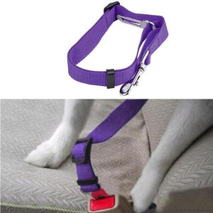 Pet Car Seat Belt - Etrendpro